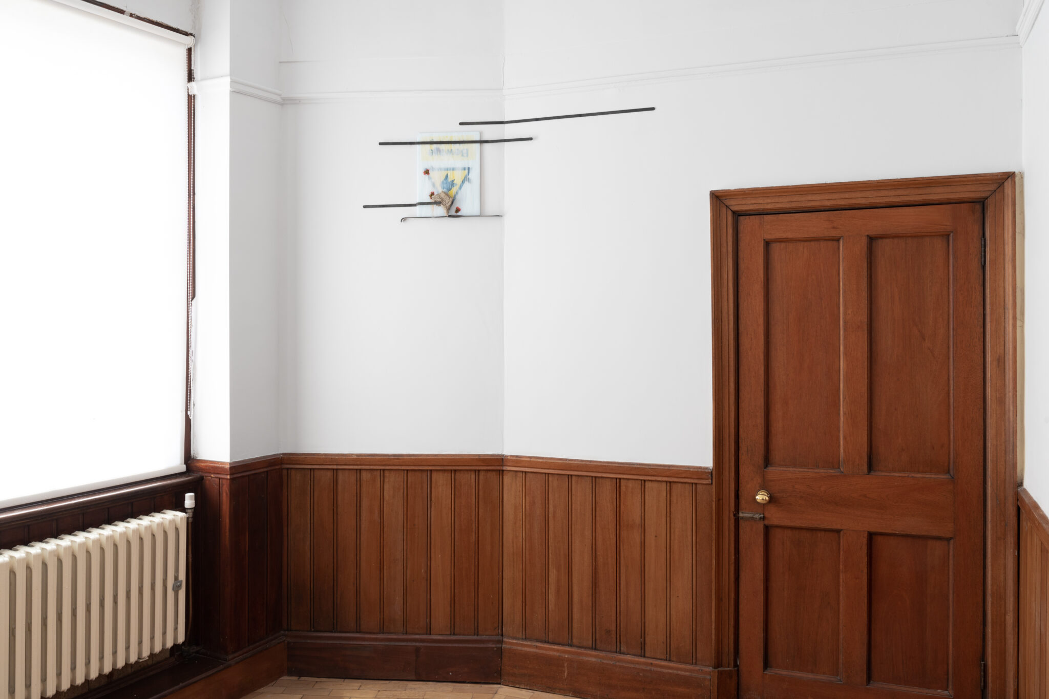 Lauren Gault: Cithra