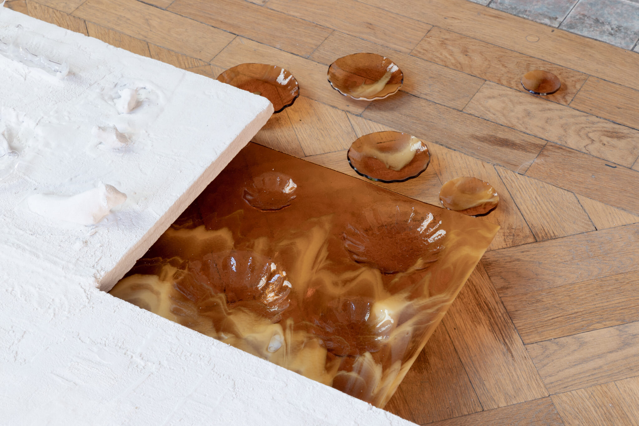 Lauren Gault: Cithra