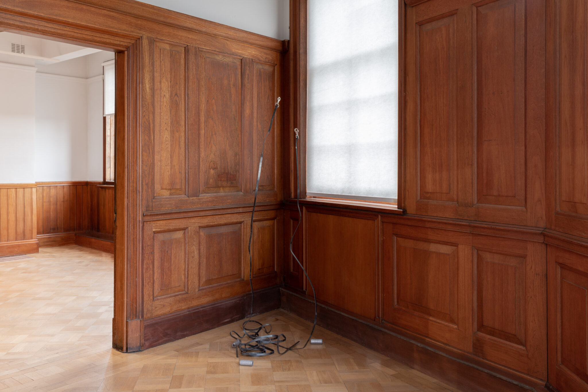 Lauren Gault: Cithra