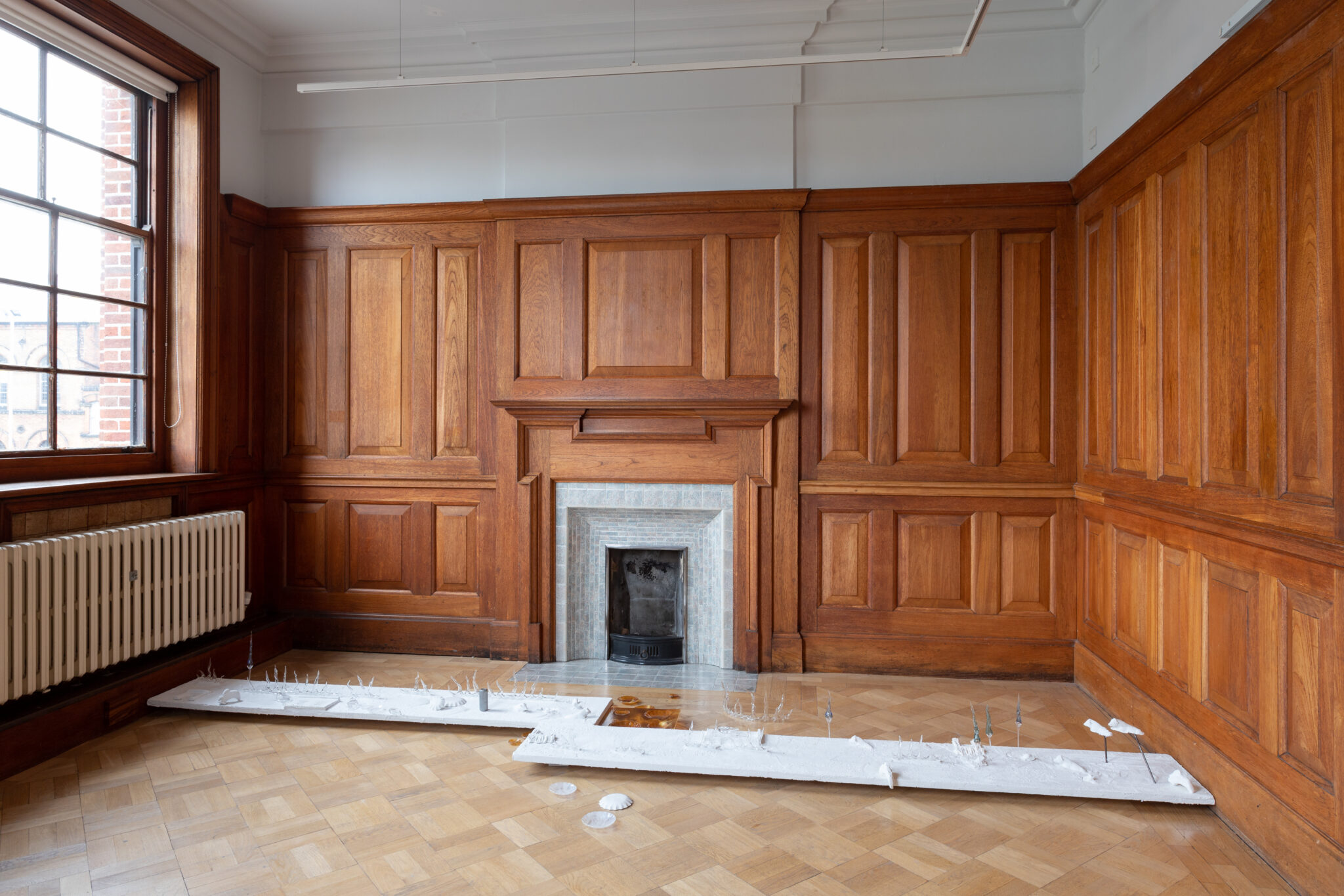 Lauren Gault: Cithra