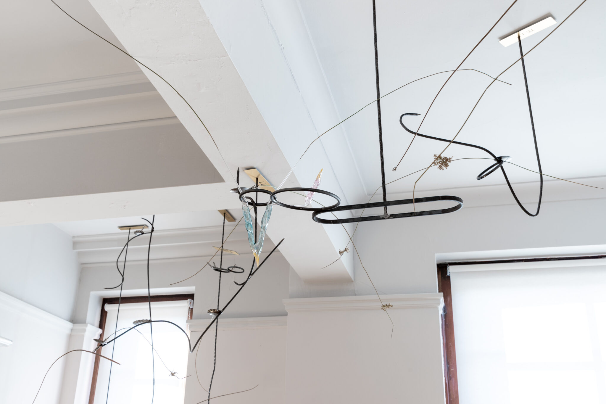 Lauren Gault: Cithra