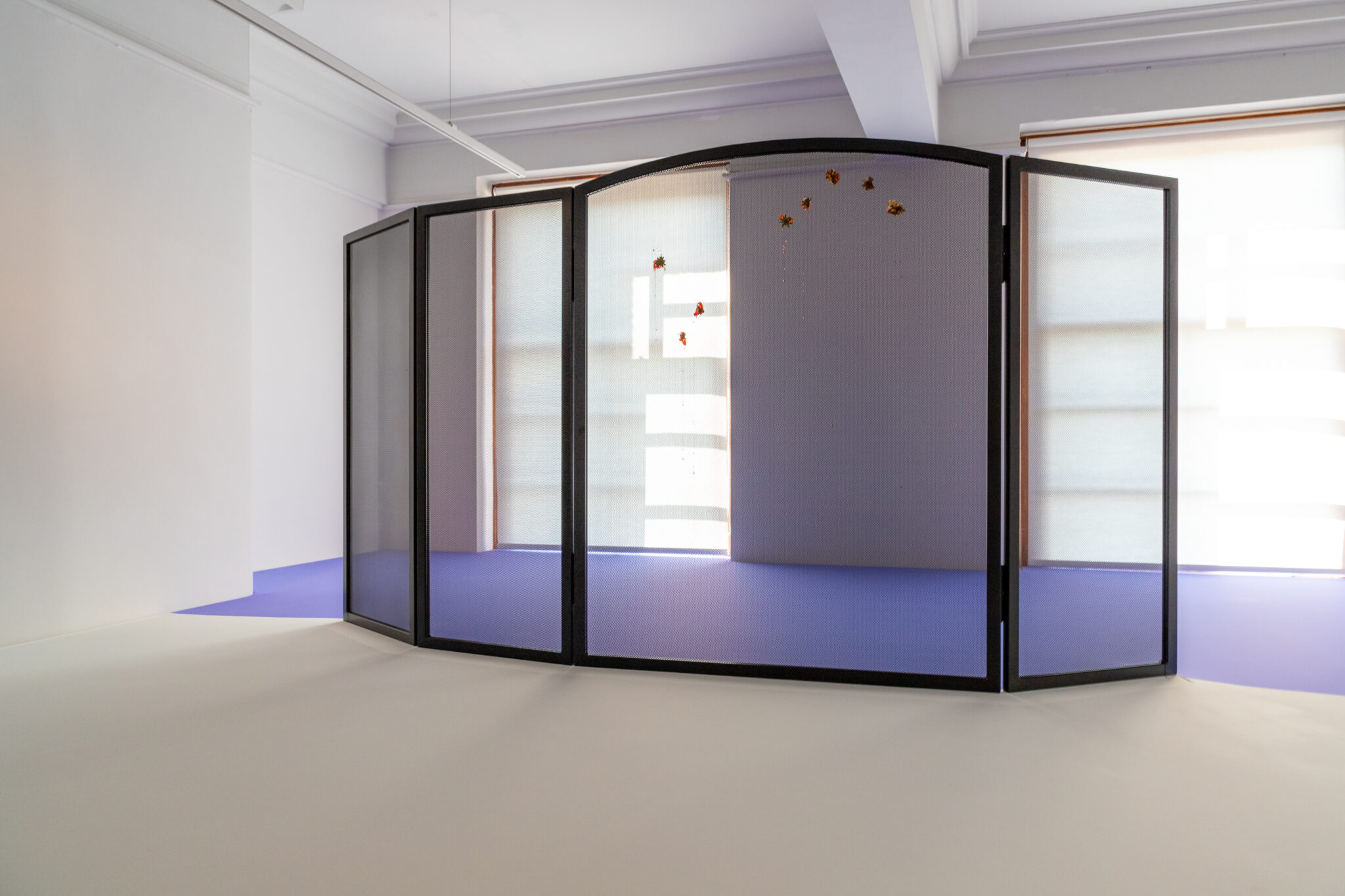 Lauren Gault: Cithra