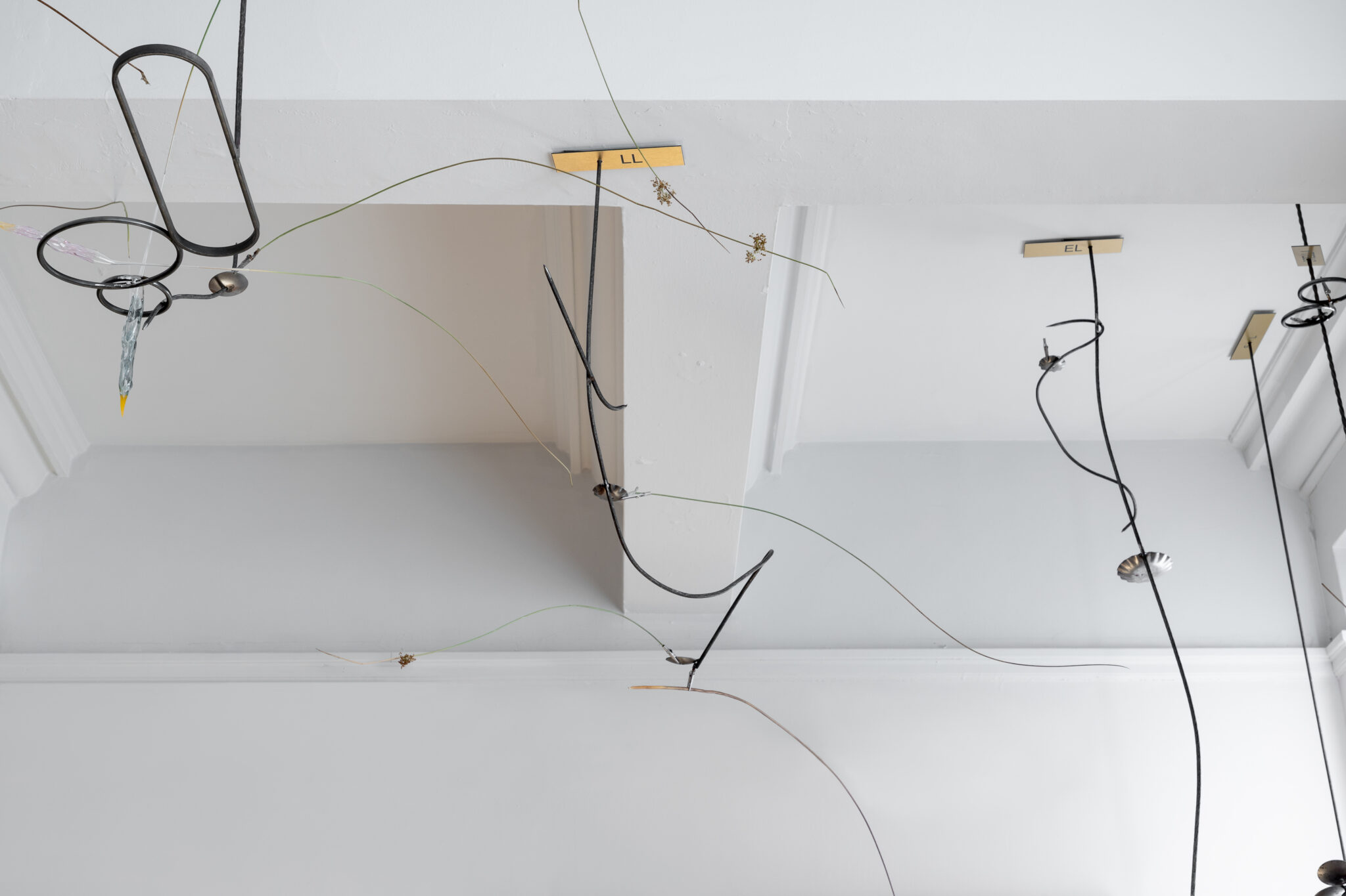 Lauren Gault: Cithra