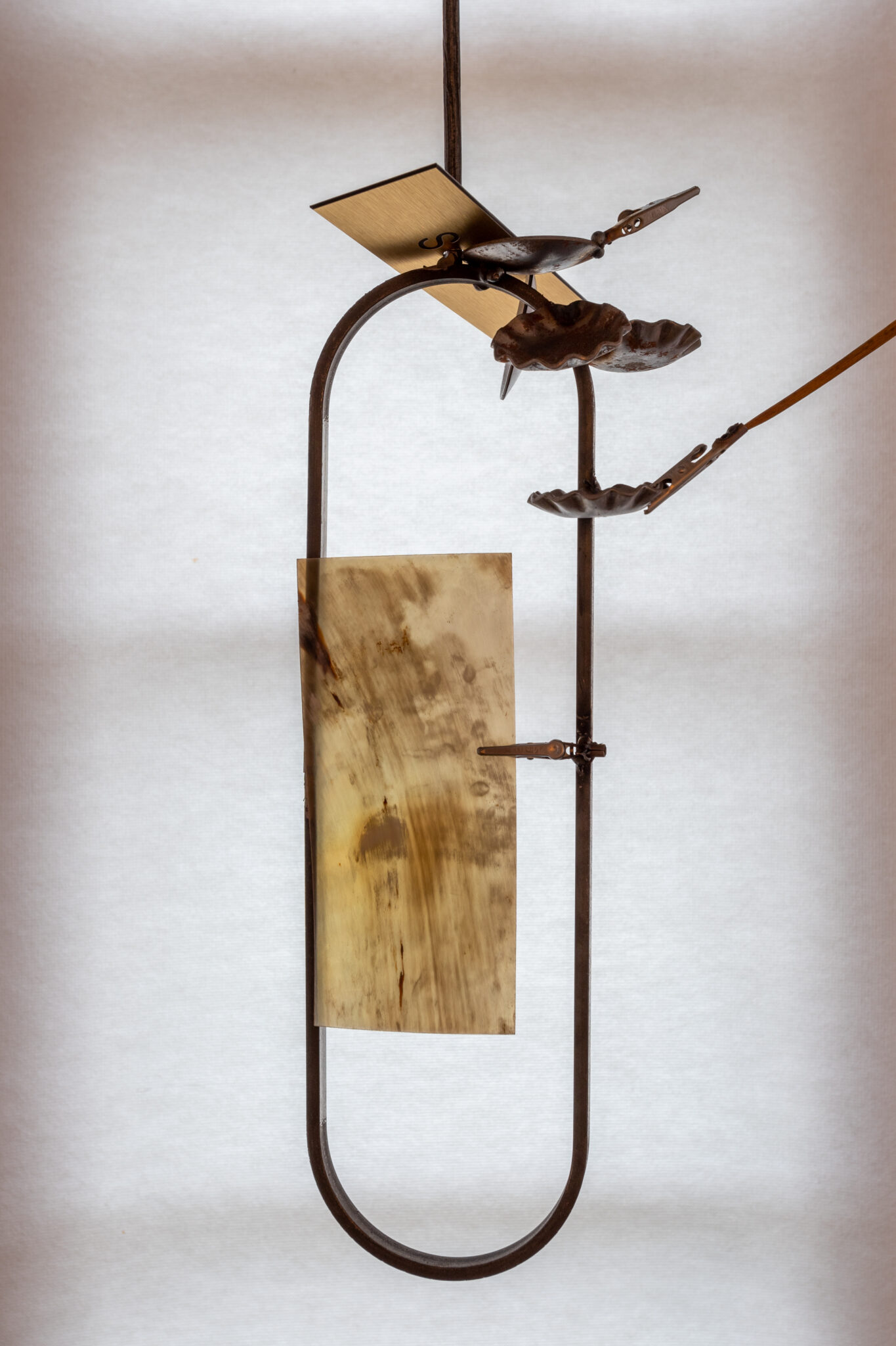 Lauren Gault: Cithra