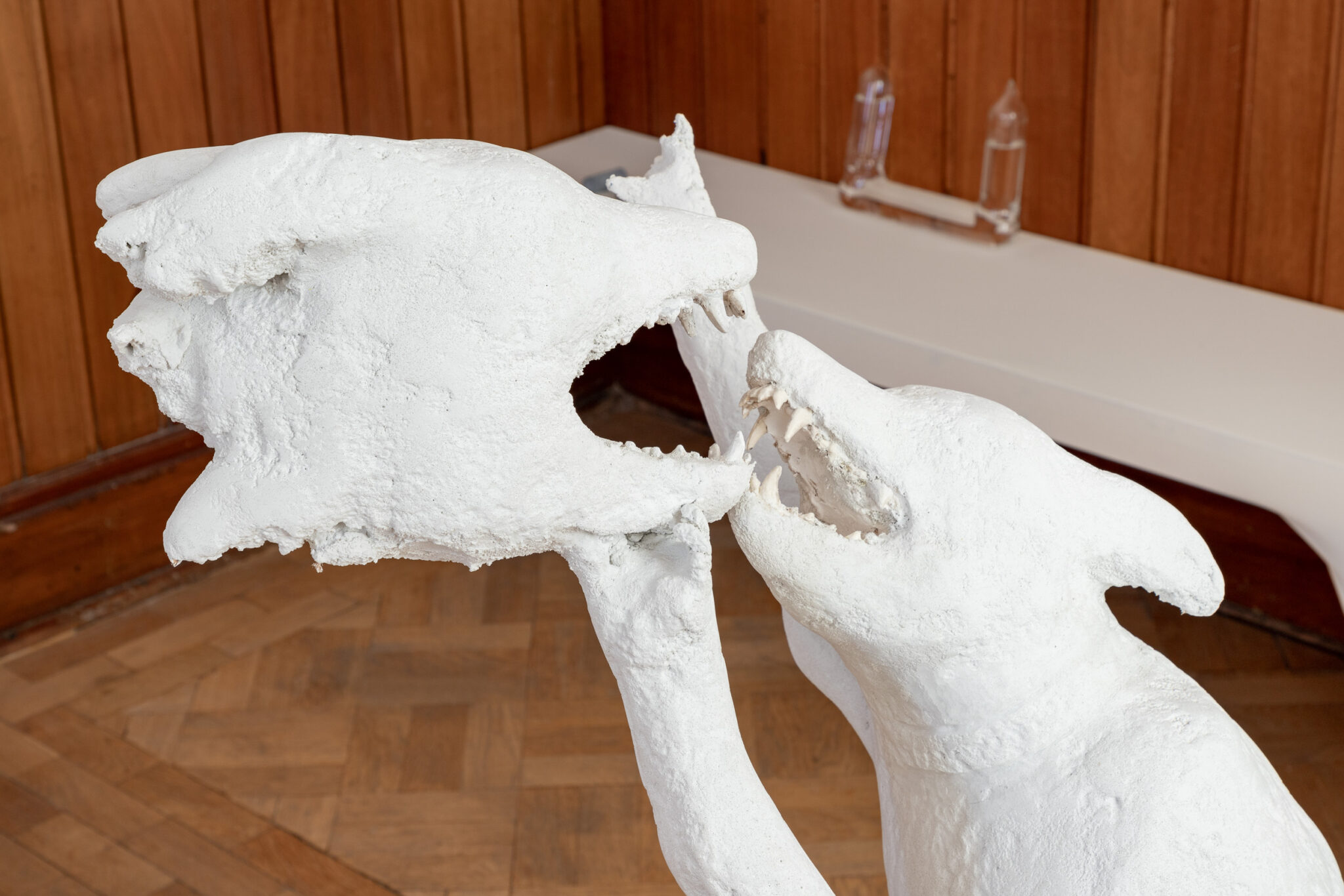 Lauren Gault: Cithra