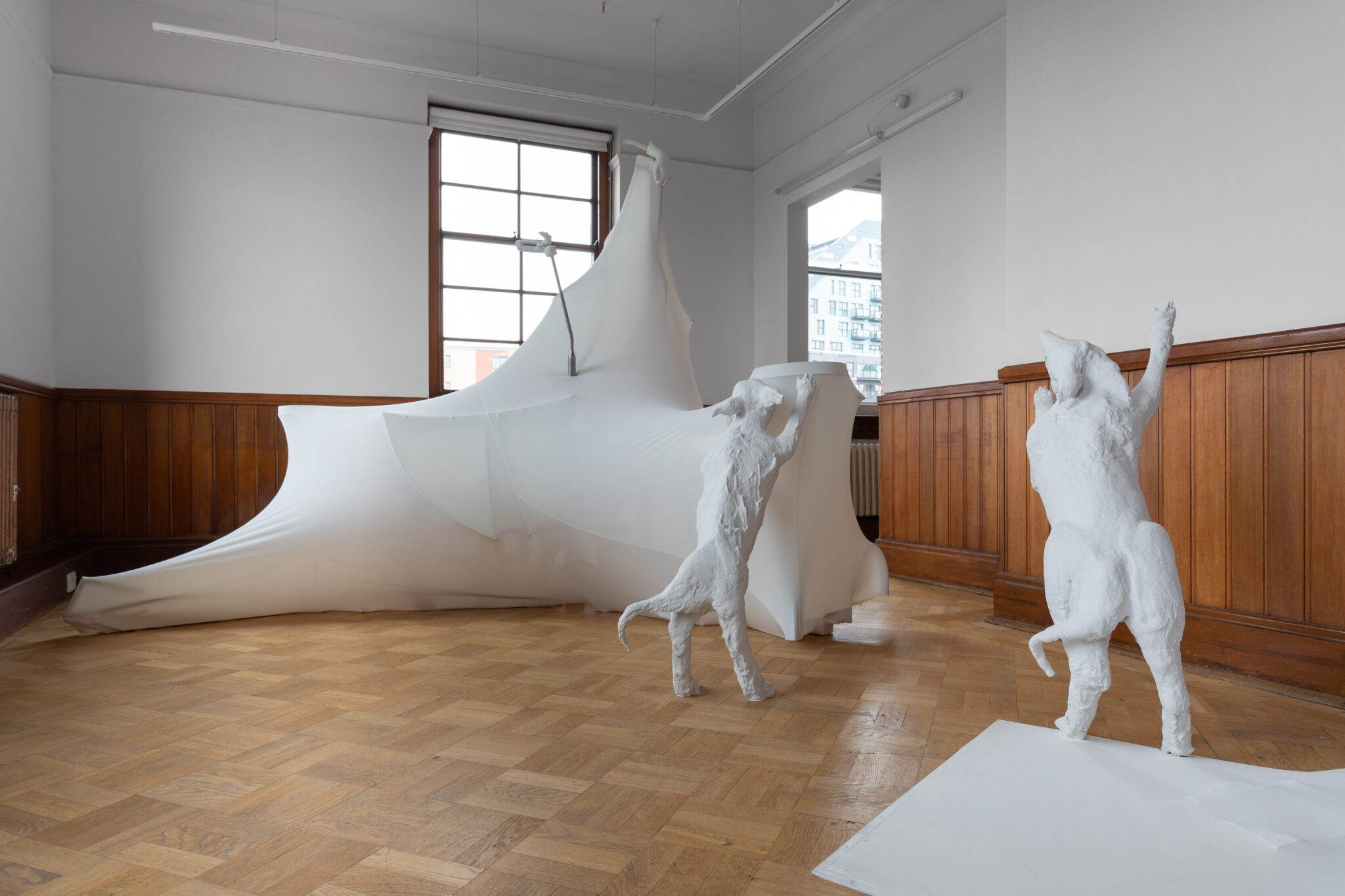 Lauren Gault: Cithra