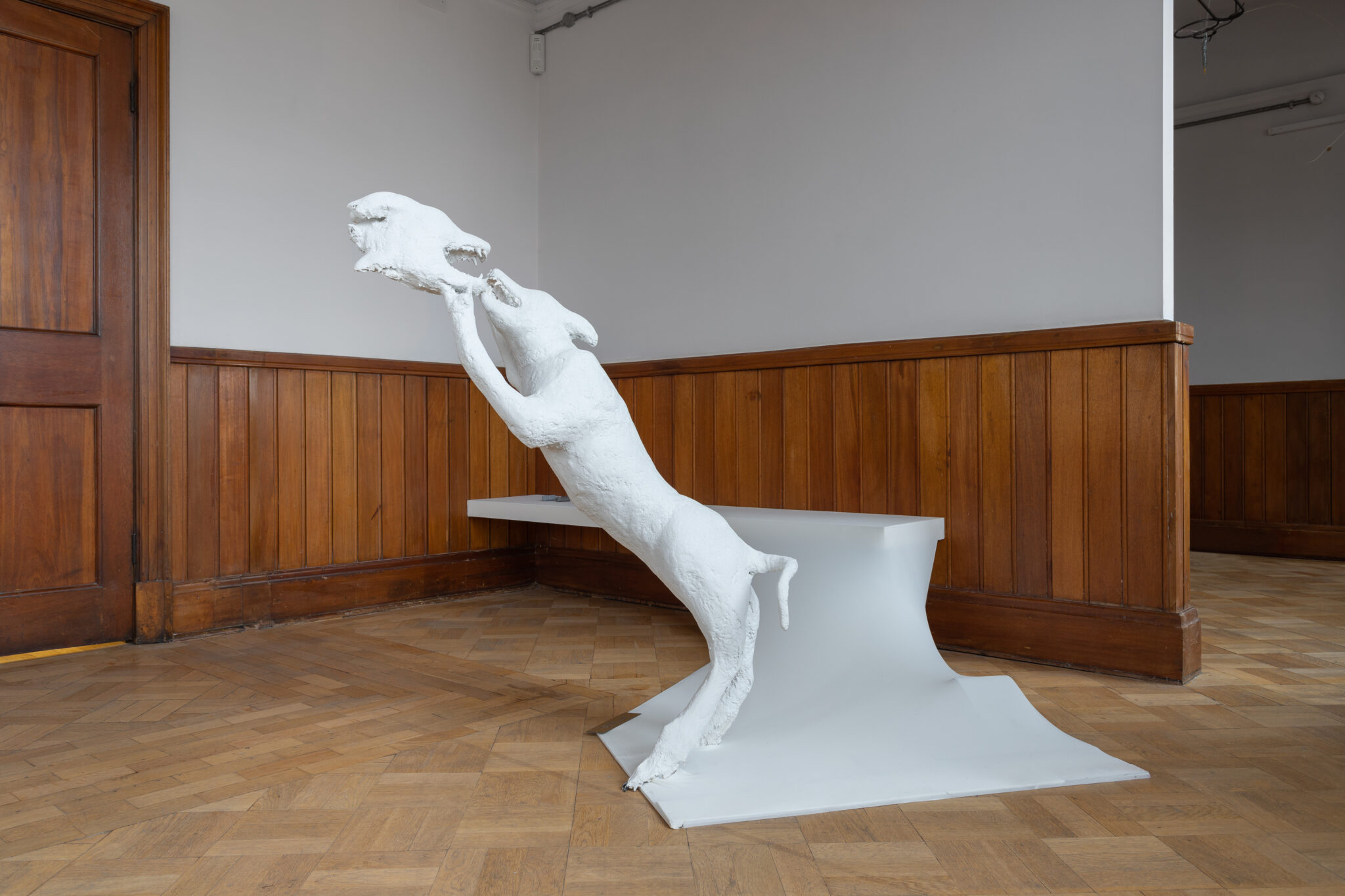 Lauren Gault: Cithra