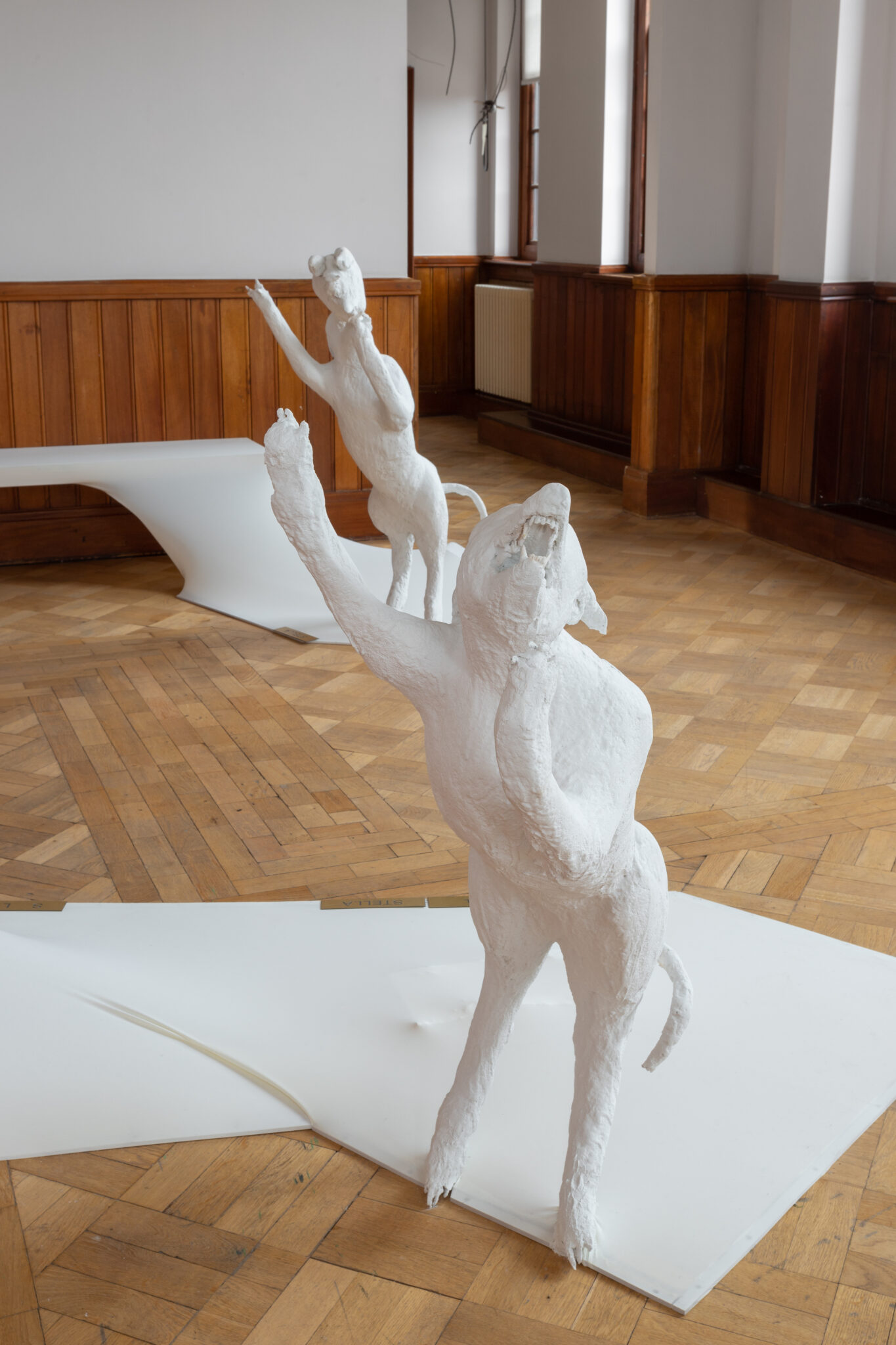 Lauren Gault: Cithra