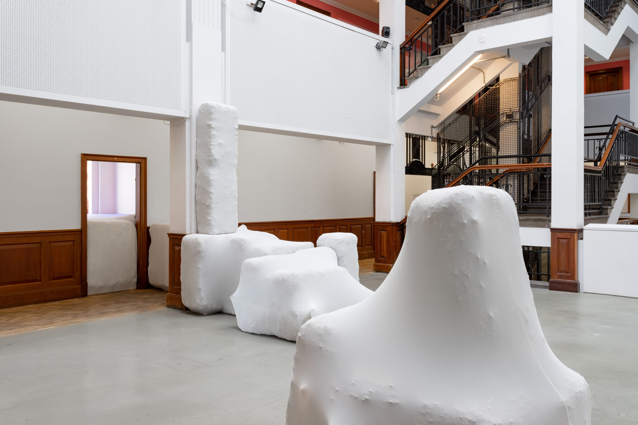 Lauren Gault: Cithra