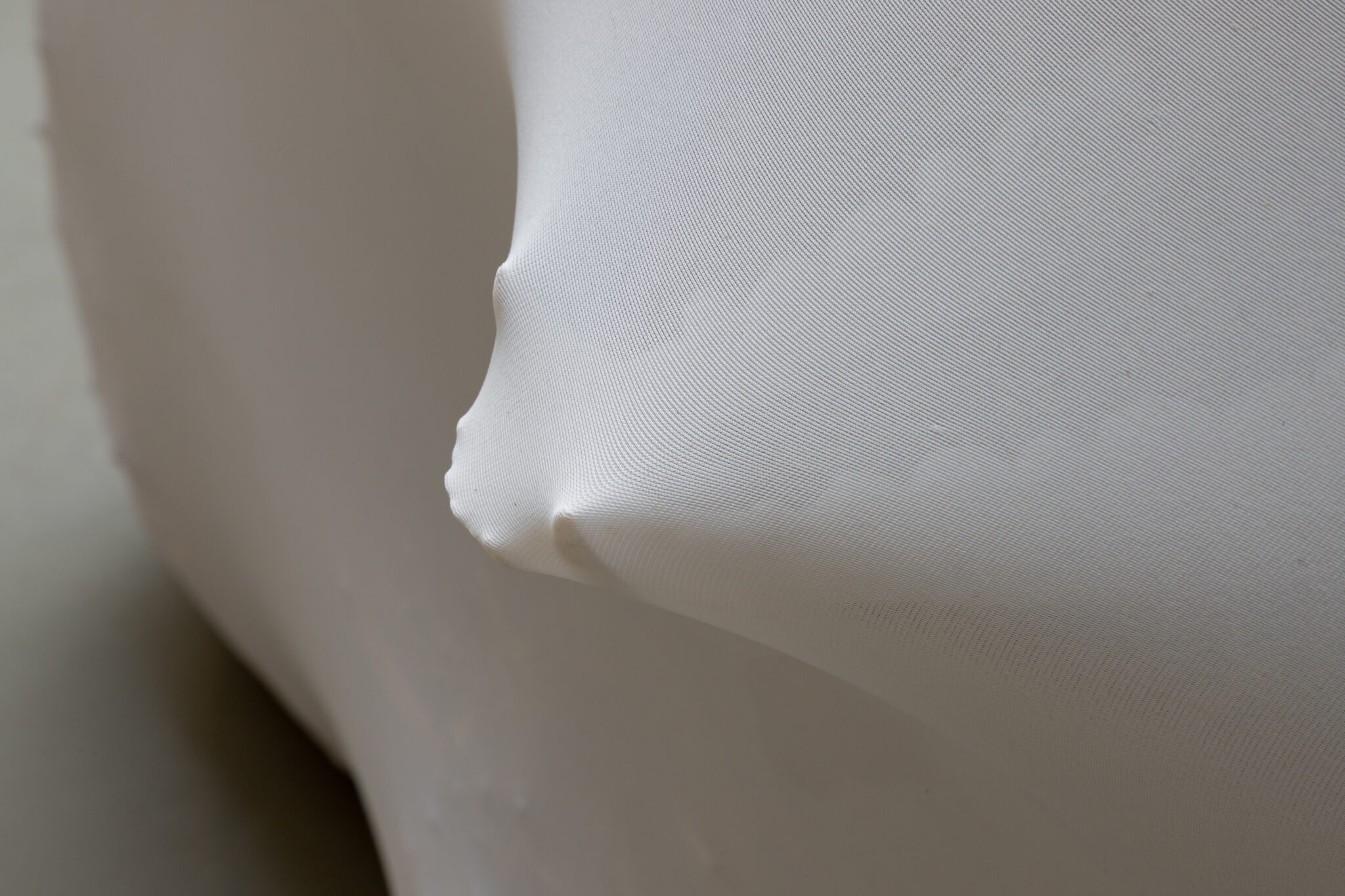 Lauren Gault: Cithra