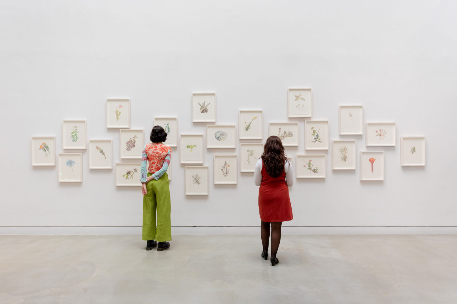 James N Hutchinson: Untitled