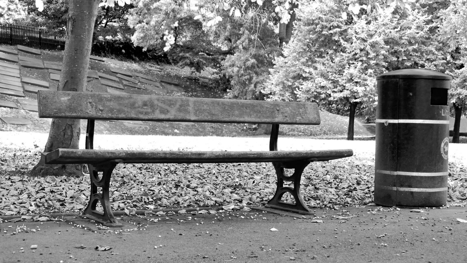 a monochrome photograph of a landscape image of a single bench, in what looks like a park. The bench borders some grass, and has a city litter bin to the right of it. In the background are trees and bushes with bright white shards that are the leaves, and a paved slope behind in the left of the frame. The bench sits on this boundary, between path and park.