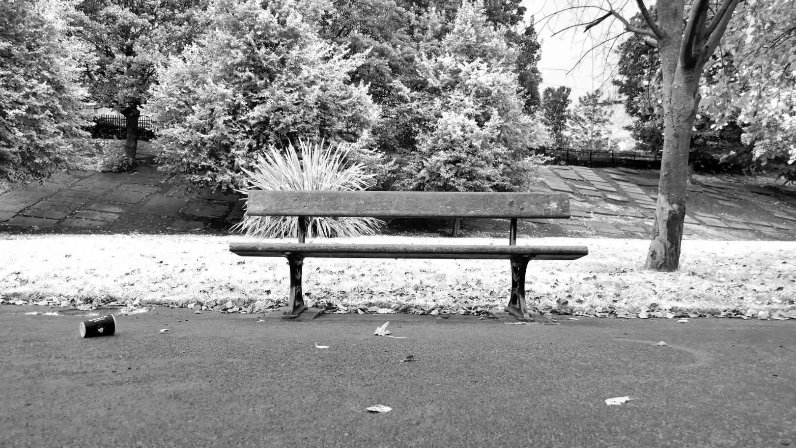 a landscape image of a single bench, in what looks like a park. The bench borders some grass that is looks almost bleached white from the camera exposure, The bench sits on this boundary, between path and park. An empty coffee cup lays on the path.