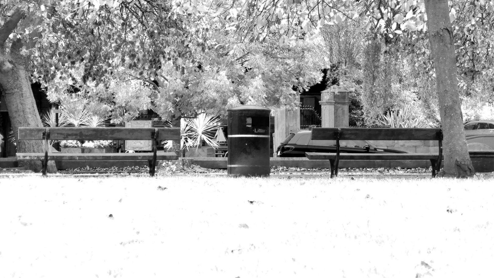 a wide-landscape shot of the park. There are two benches that face away from view. Between them is a city dustbin. The bottom third of the image shows white bleached-out grass, over-exposed with little detail, a rough quality to it.
