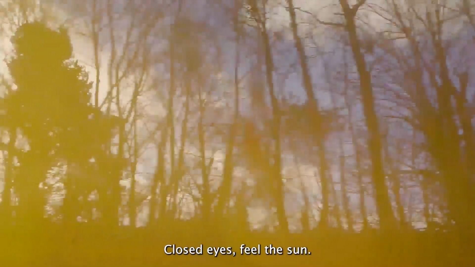 Trees against a blue sky with clouds, blurred by the movement of the train. There is a yellow-orange filter on the image like sunlight.
