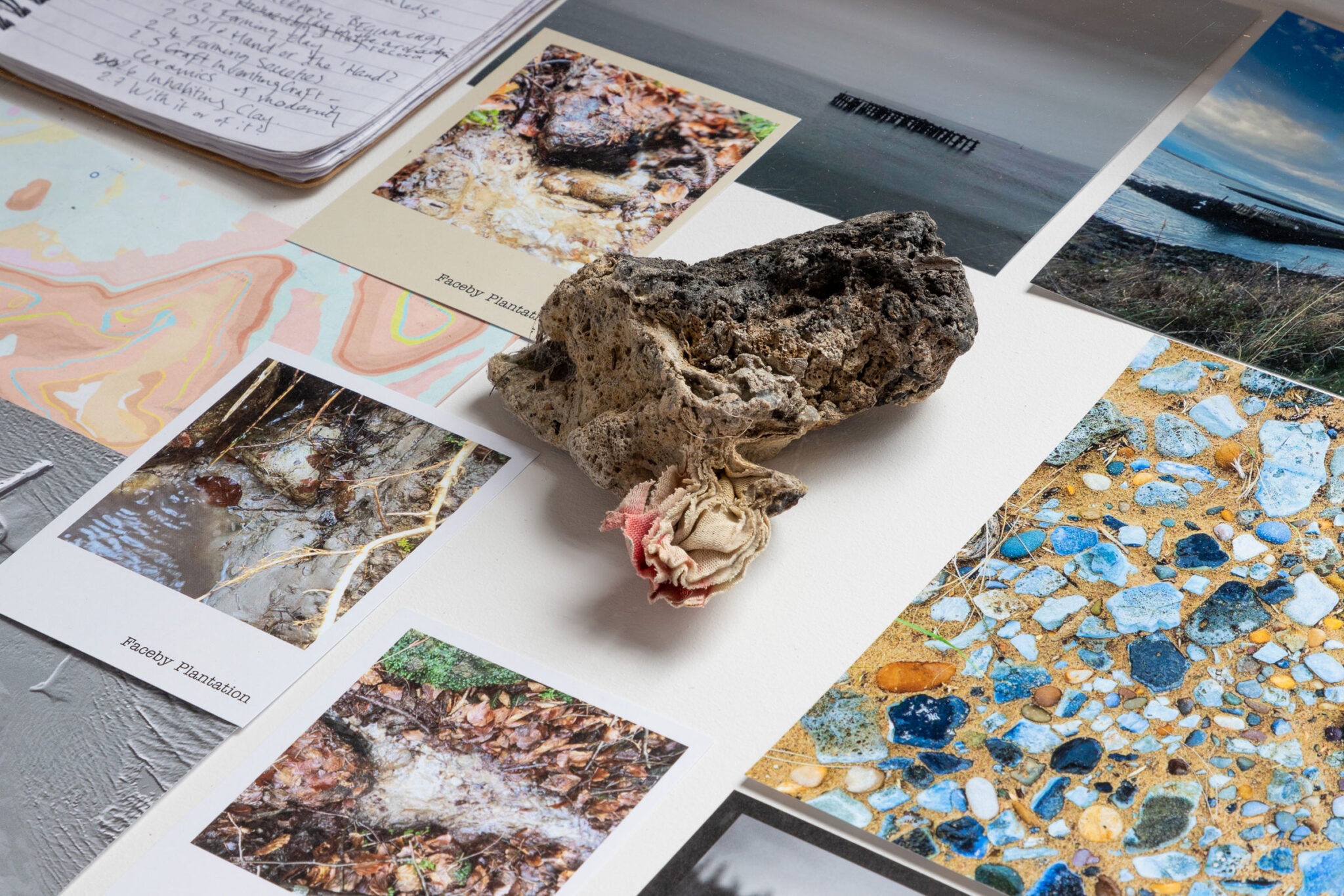 A collection of images and objects displayed in a vitrine