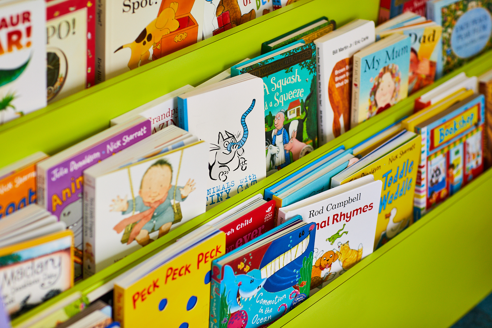 A row of children's books on green shelves