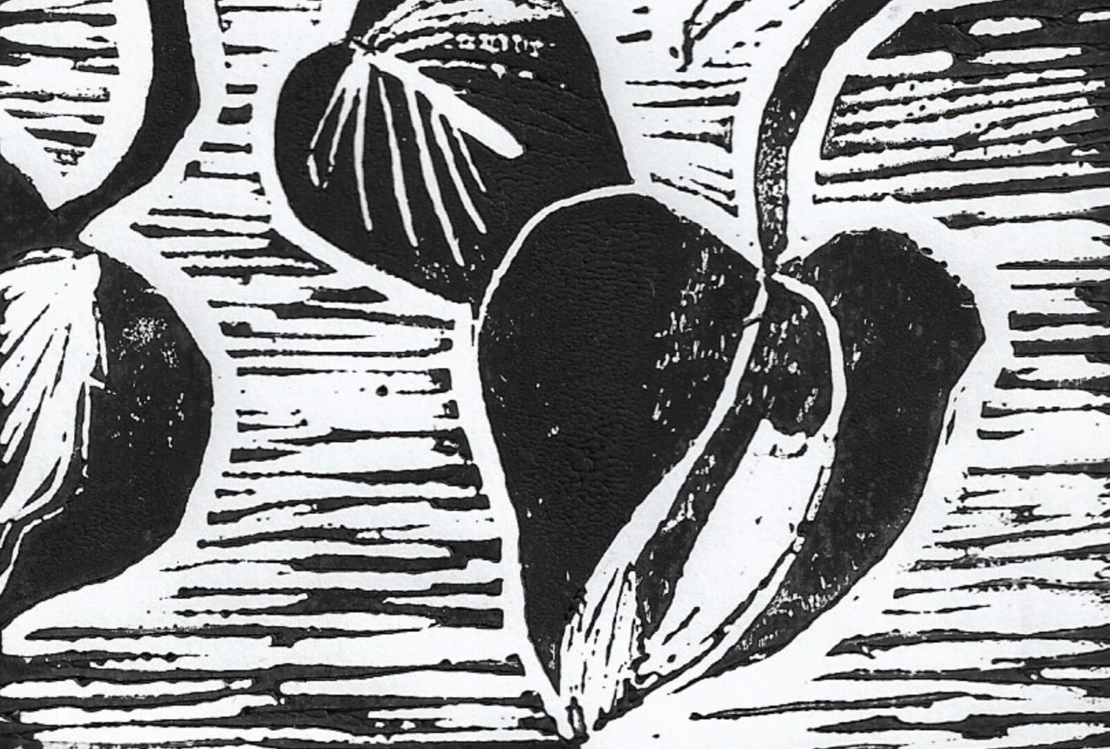 a black and white lino cut print of cheese plant leaves