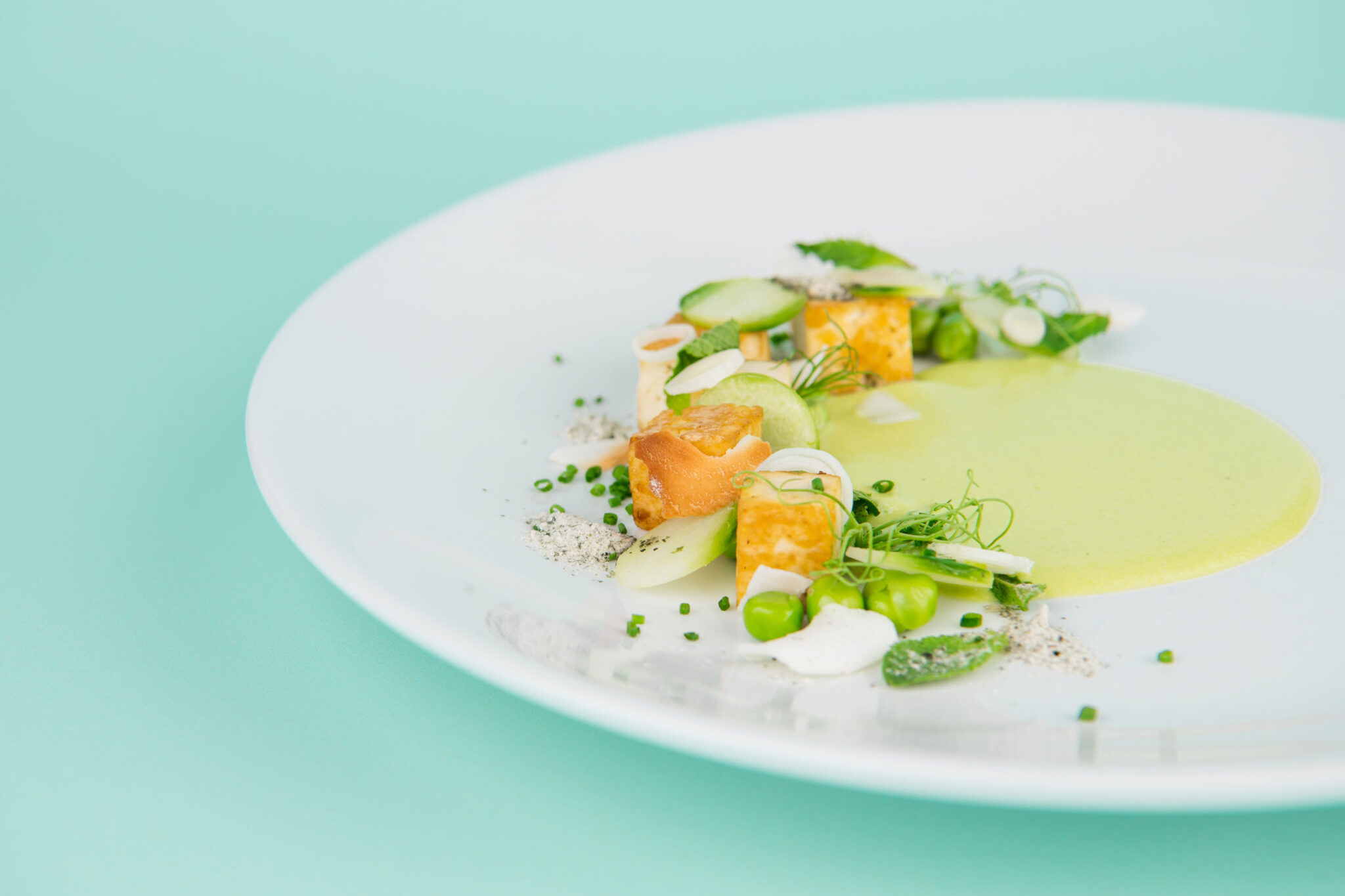 A bright green background with pale green sauce, peas, tofu and herbs intricately arranged