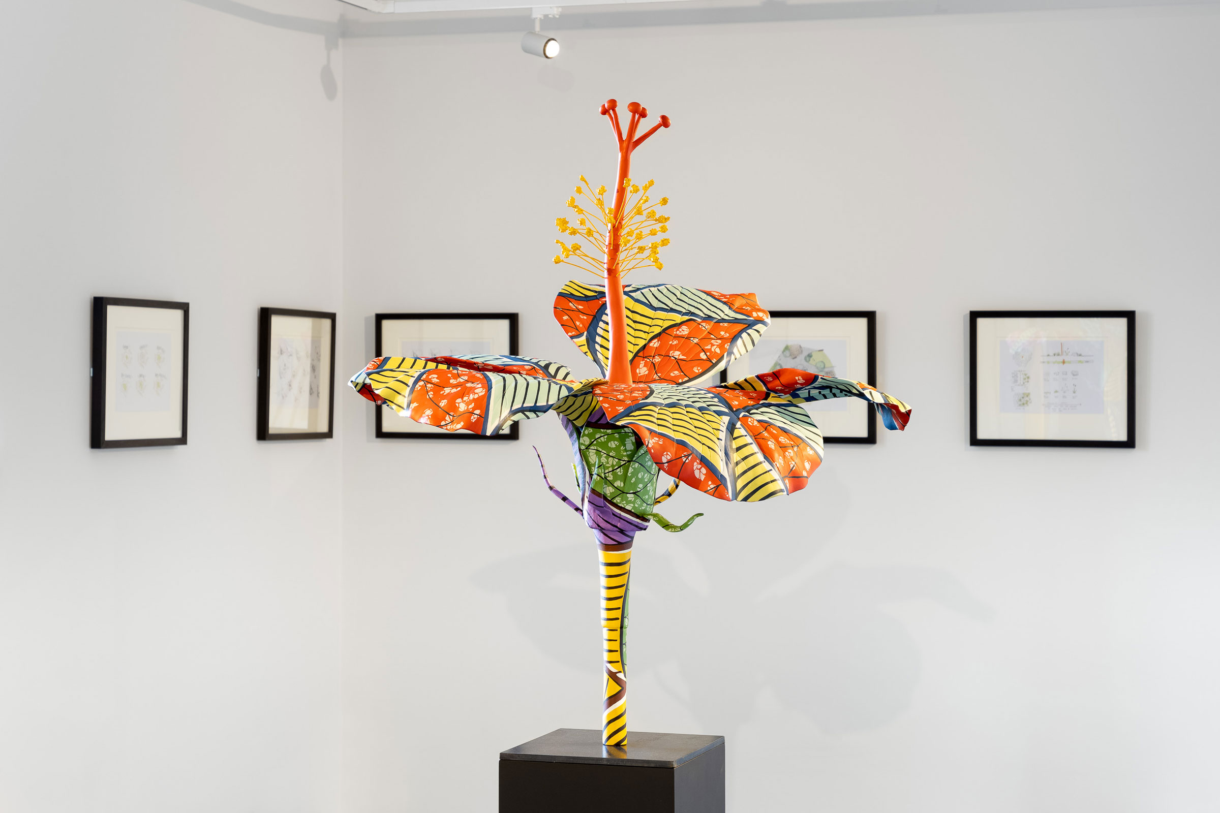 Hibiscus Rising: Creating a memorial for David Oluwale with