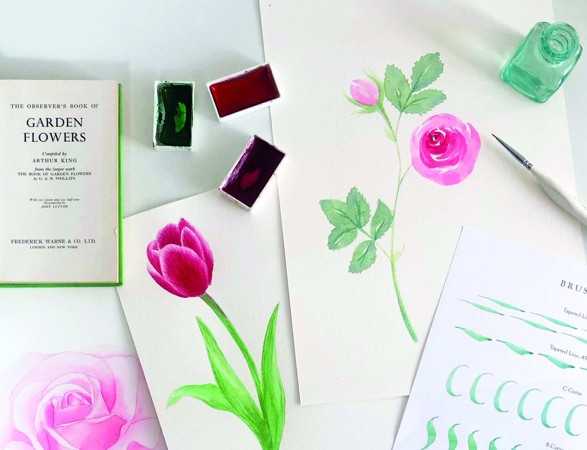 Garden Botanicals in Watercolour