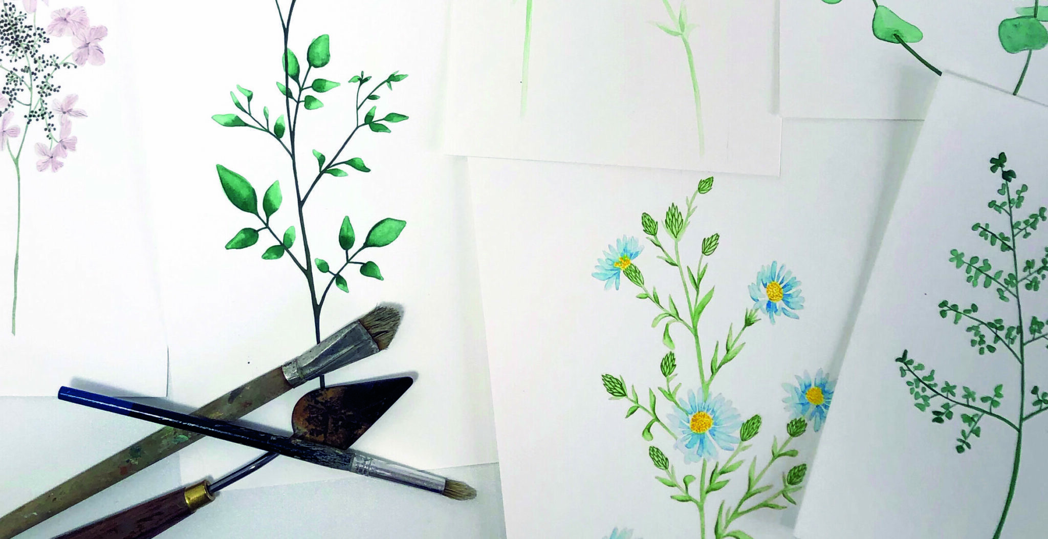 Introduction to Botanical Watercolours