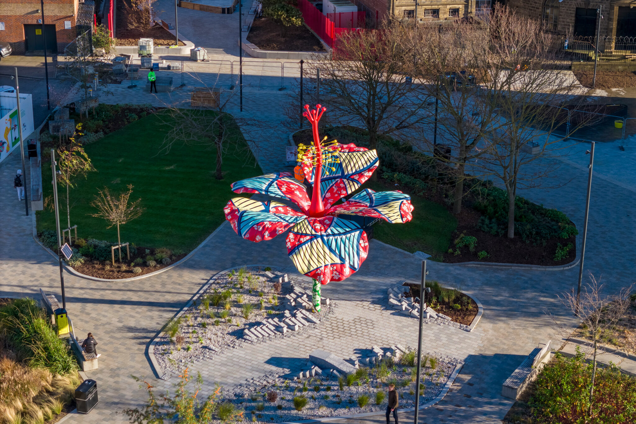 The story of Hibiscus Rising