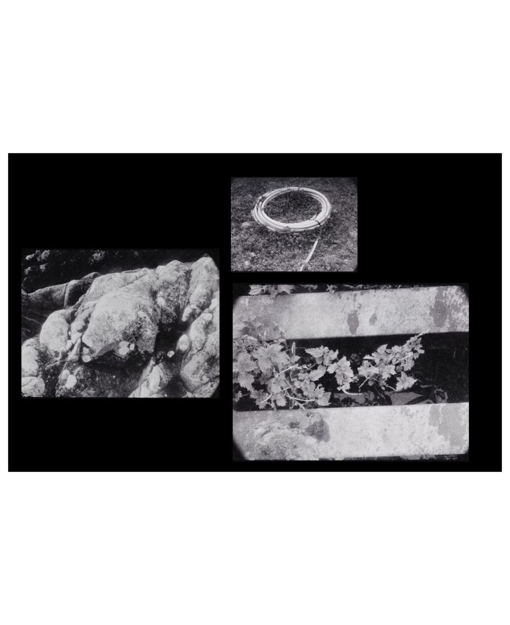 OUR TURN: Practice Bradford