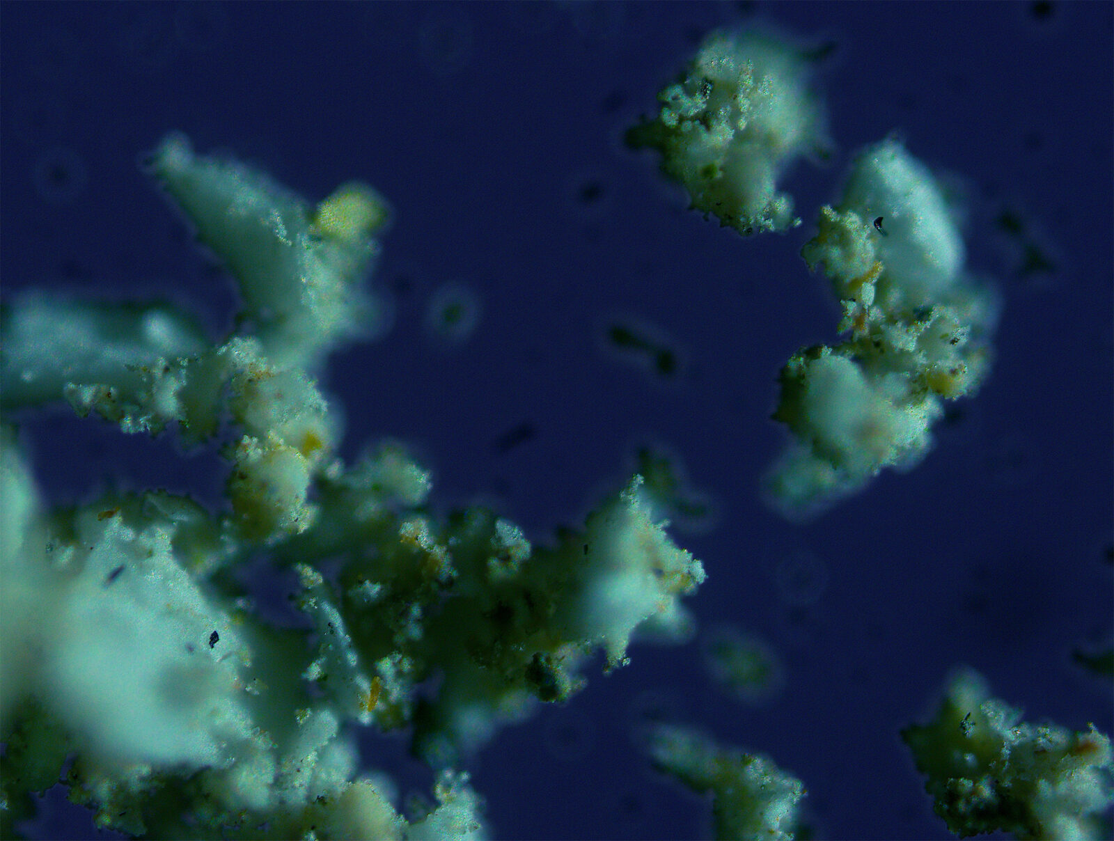 UNEARTHING(S): Hannah Catherine Jones